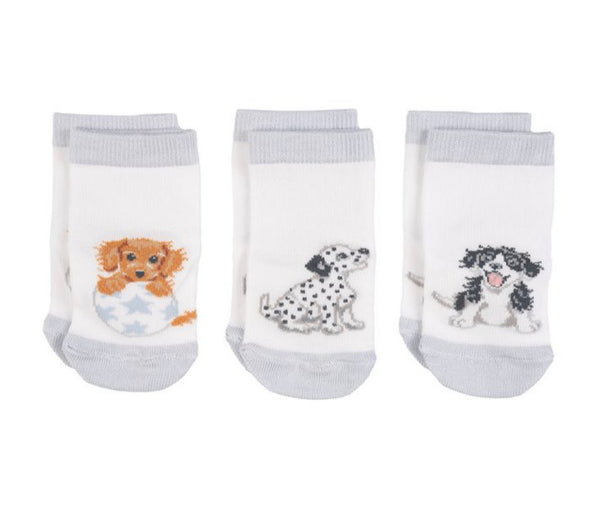 Little Paws Baby Socks