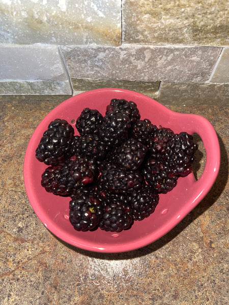5” Berry Bowls