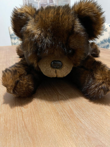 Large Teddy Bear